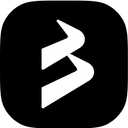 BlackBull Markets logo